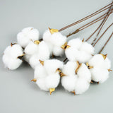 Christmas Gift Naturally Dried Cotton Flowers White Home Decorative Artificial Floral Branch Wedding Bridesmaid Bouquet Decor Fake White Flower