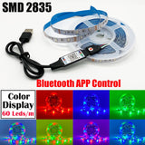 RGB 5050 2835 LED Lights Strip Bluetooth Control USB DC 5V Flexible Lamp Tape Diode Festival Fita Bedroom Tira Luces TV Desk Luz