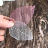 Christmas Gift 5~9CM*2~3.5CM,95PCS High Quality Real Dried Natural Vajra Leaf Vein,Pressed Dry Flowers Skeleton Leaves,DIY Wedding Decoration