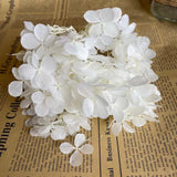 Christmas Gift 20g/lot ,Long Time Lasting Natural Fresh Preserved Flowers Dried Hydrangea Flower Head For IY Real Eternal Life Flowers Material