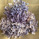 Christmas Gift 20g/lot ,Long Time Lasting Natural Fresh Preserved Flowers Dried Hydrangea Flower Head For IY Real Eternal Life Flowers Material