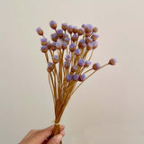 Christmas Gift 100PCS/~ 0.3CM Head,Real Dried Natural Mini Brazilian Pleasure Flower Branch,Miniature Dry Happy Flower Bouquet  For Home Decor