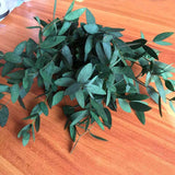 Christmas Gift 10~30CM/50g Real Preserved Flowers Eucalyptus Bundle,DIY Eternell Leaves Flower Eucalyptus Garland,Home Decor,Wedding