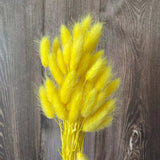 Christmas Gift 35-40CM/50PCS Dry Bunny Tails Grass ,Dried Natural Flowers Rabbittail Bouquet,DIY Hare's Tail Flower For Home Decor,Wedding