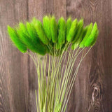 Christmas Gift 35-40CM/50PCS Dry Bunny Tails Grass ,Dried Natural Flowers Rabbittail Bouquet,DIY Hare's Tail Flower For Home Decor,Wedding