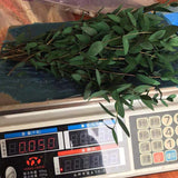 Christmas Gift 10~30CM/50g Real Preserved Flowers Eucalyptus Bundle,DIY Eternell Leaves Flower Eucalyptus Garland,Home Decor,Wedding