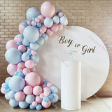 110pcs Baby Pink Balloon Garland Baby Shower Ballon Arch Gender Reveal Macaron Blue Valentine Day Birthday Party Wedding Decor