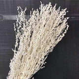Christmas Gift About 30g/35~42CM Decorative Dried Natural Flowers Dry White Grass Bouquet For Bedroom Decor Accessories,Home,Wedding Decoration