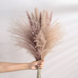 30Pcs Real Dried Reed Flowers Bouquet Home Wedding Decoration Table Flores Preservadas Natural Pampas Grass Decor For Room