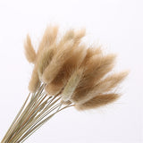 30PCs Natural Dried Flowers Rabbit Tail Grass Ornaments Lagurus Ovatus Real Bouquet Wedding Decoration DIY for Home Decor Plants