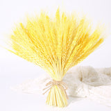 50PCs Natural Dried Wheat Ear Flower Real Flowers Bouquet Ornaments Wedding Decoration for Home Decor DIY Party Christmas Plants