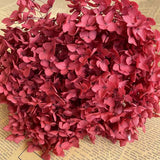 Christmas Gift 20g/lot ,Long Time Lasting Natural Fresh Preserved Flowers Dried Hydrangea Flower Head For IY Real Eternal Life Flowers Material