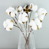 Christmas Gift Naturally Dried Cotton Flowers White Home Decorative Artificial Floral Branch Wedding Bridesmaid Bouquet Decor Fake White Flower