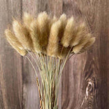 Christmas Gift 35-40CM/50PCS Dry Bunny Tails Grass ,Dried Natural Flowers Rabbittail Bouquet,DIY Hare's Tail Flower For Home Decor,Wedding