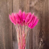 Christmas Gift 30-35CM/100PCS Dry Hare's Tail grass Flower,Dried Natural Flowers Rabbittail Bouquet,DIY Craft for Home Decoration,Wedding