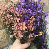 Christmas Gift 15-25CM Crystal Grass Natural Fresh Dried Preserved Forget me Flowers,Real Forever Lover Grass Branch For Home Decor