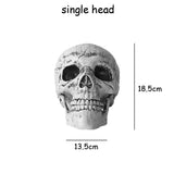 Cifeeo  Halloween Skull Head Realistic Skeleton Stakes Skull Head Hand For Halloween Party Garden Lawn Outdoor Horror Decorations Props