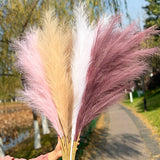 Black Friday Cifeeo  70-120Cm Artificial Pampas Grass Fake Reed Plants Bouquet  Wedding Decoration Home Living Room DIY Vase Decoration Tail Grass