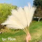 Black Friday Cifeeo  70-120Cm Artificial Pampas Grass Fake Reed Plants Bouquet  Wedding Decoration Home Living Room DIY Vase Decoration Tail Grass