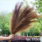 Black Friday Cifeeo  70-120Cm Artificial Pampas Grass Fake Reed Plants Bouquet  Wedding Decoration Home Living Room DIY Vase Decoration Tail Grass