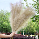 Black Friday Cifeeo  70-120Cm Artificial Pampas Grass Fake Reed Plants Bouquet  Wedding Decoration Home Living Room DIY Vase Decoration Tail Grass