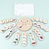 Cifeeo Animal Life Cycle Board Montessori Kit Biology Science Education Toys for Kids Sensory Tray Animal Figure Sorting Wooden Toy