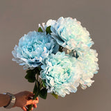 Simulation 5 Heads of Rich and Honorable Peony Bouquet Living Room Home Decoration Indoor Wedding Table Fake Artifical Flowers