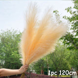 Black Friday Cifeeo  70-120Cm Artificial Pampas Grass Fake Reed Plants Bouquet  Wedding Decoration Home Living Room DIY Vase Decoration Tail Grass