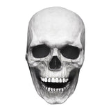 Cifeeo   Halloween Skull Mask Full Head Skeleton Party Costume Surprise Gift Horror Evil Call Duty Helmet Movable Jaw Helmet