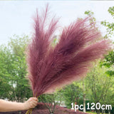 Black Friday Cifeeo  70-120Cm Artificial Pampas Grass Fake Reed Plants Bouquet  Wedding Decoration Home Living Room DIY Vase Decoration Tail Grass